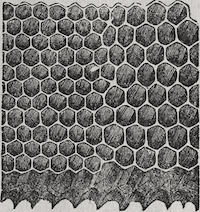 Dibujo de un panal de abejas